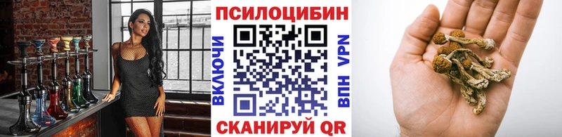 Псилоцибиновые грибы прущие грибы закладки Бабушкин