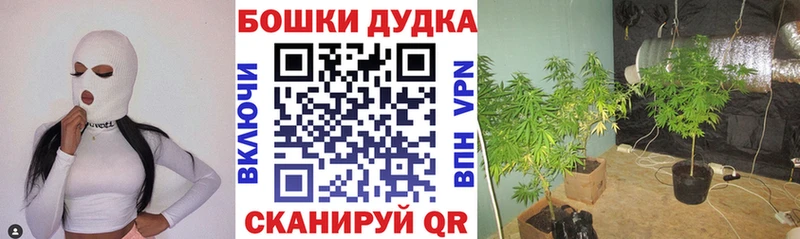 наркошоп  Бабушкин  Каннабис Ganja 